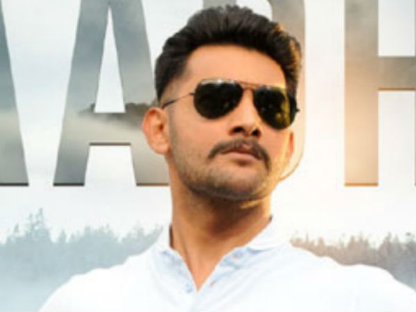 దర్శకుడి పనితీరు...