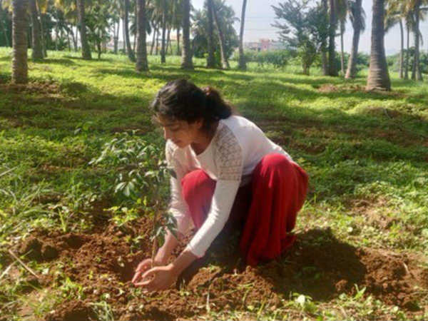 Sai Pallavi takes Green India Challenge and nominates Samantha, RanaDaggubati Sai Pallavi takes Green India Challenge and nominates Samantha, RanaDaggubati