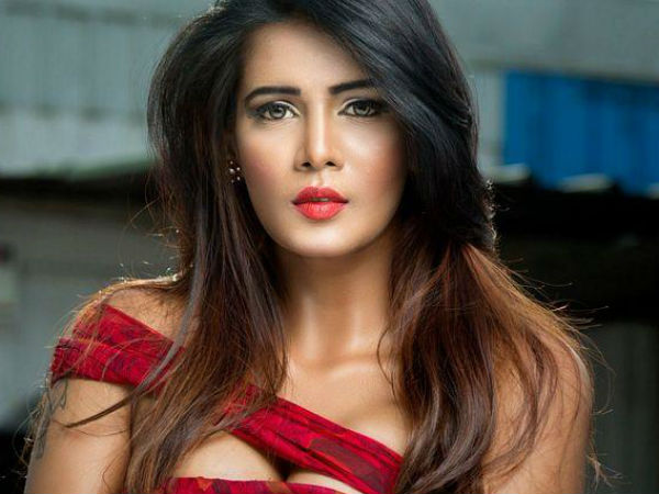 మీరా మిథున్ పై విమర్శలు.. చివరకు