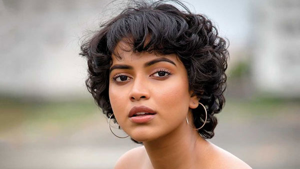 దర్శకుడితో పెళ్లి, విడాకులు..