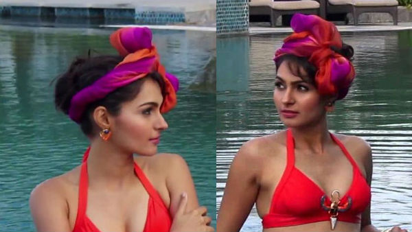 ఆండ్రియా కెరీర్ ఇలా...