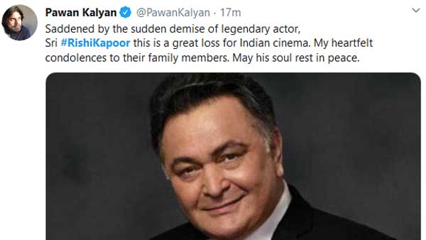 తీరని లోటు.. పవన్ కల్యాణ్