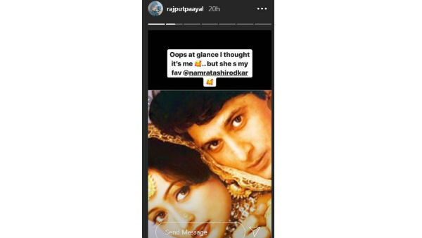 Payal Rajput Compares Her With Namrata Shirodkar