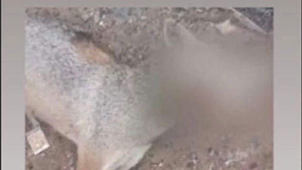 తమిళనాడులో దారుణంగా