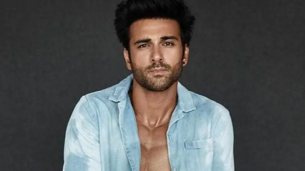 టీవీ నటులు పులక్రిత్.. రాజకృష్ణ మీనన్