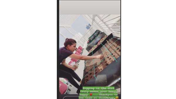 సమంత ప్రతిభ..