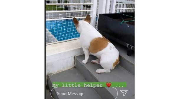 ఆర్గానిక్ వ్యవసాయం..