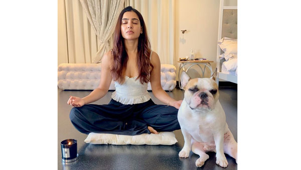 నాగచైతన్యతో కలిసి..