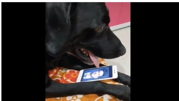 సుశాంత్ సింగ్ ని తలచుకుంటూ..