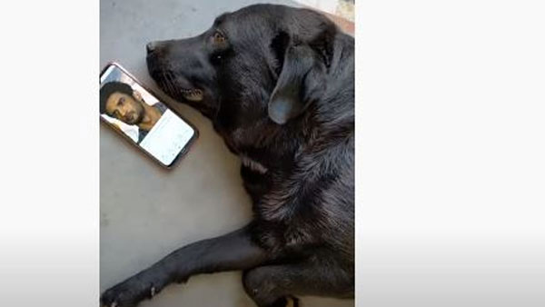 వాళ్ళ దగ్గరే ఉన్నాయట..