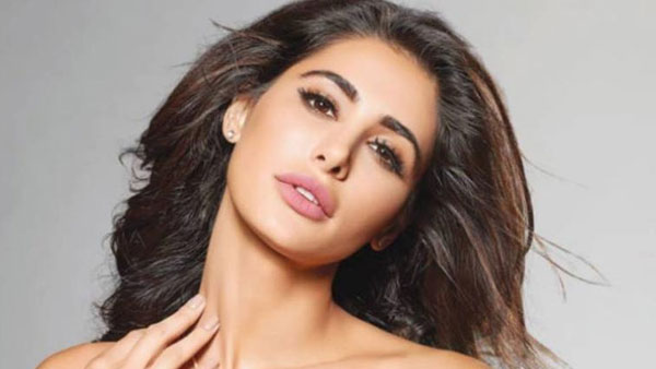 సోషల్ మీడియాలో రచ్చ..