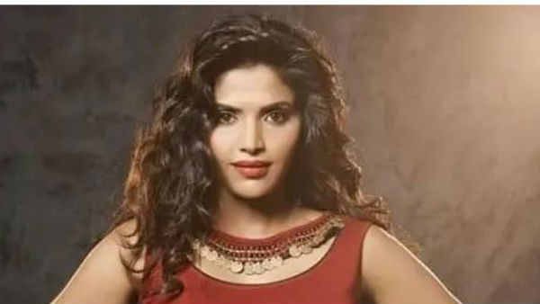 క్యాస్టూమ్ డిజైనర్గా పనిచేశా