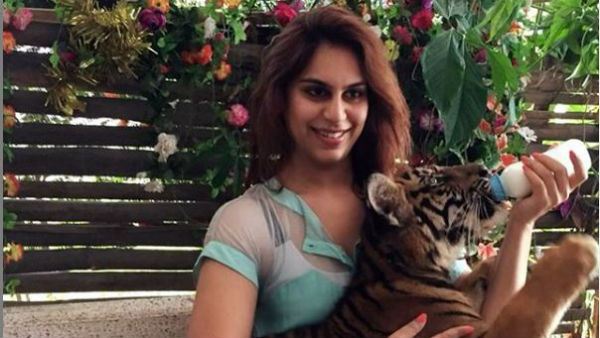  పులుల సంచారం..