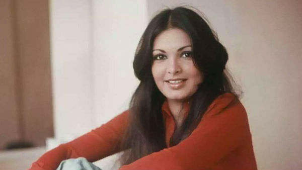 బాలీవుడ్‌లో పర్వీన్ బాబీ, ఇతర నటులు