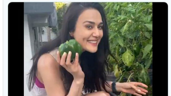 కాప్పికమ్ తెంపుతూ వీడియో