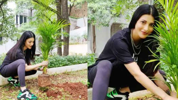 రీ ట్వీట్ ఆఫర్