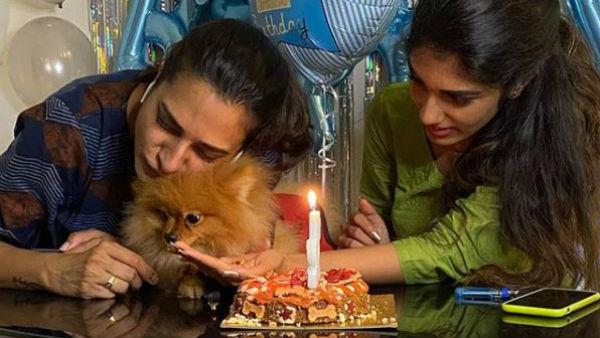 హీరోయిన్ ప్రయత్నాల్లో..