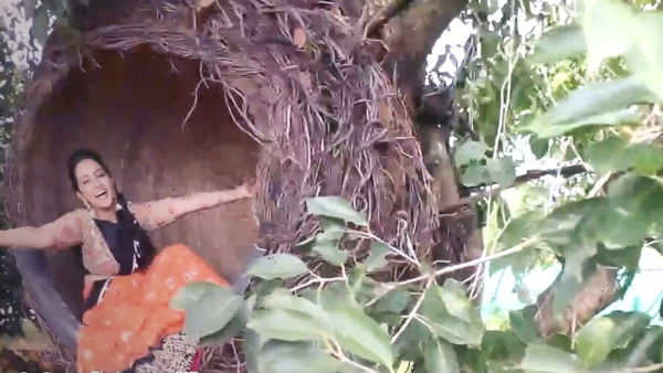 చీమ, ఏనుగు జోక్తో