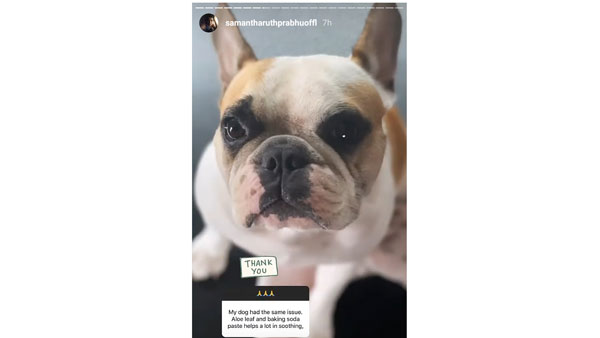 నెటిజన్ల స్పందన..