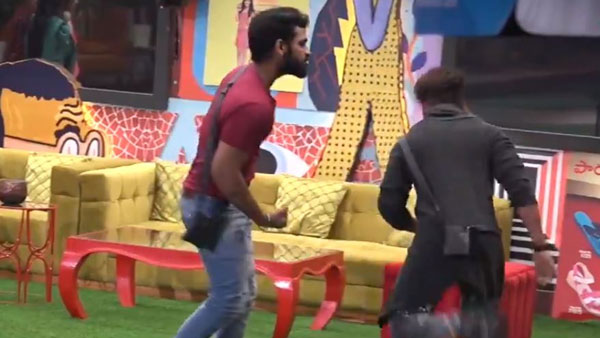  అఖిల్, మోనాల్ అఫైర్‌లో ఫిట్టింగ్ పెడుతా