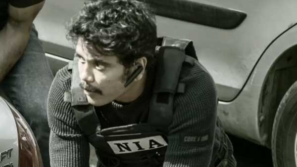 వైల్డ్ డాగ్ షూటింగ్ కోసం 