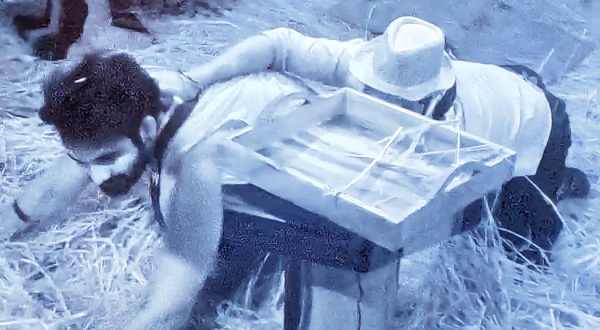 డ్రాకుల్లా డెన్‌లోకి ఇంటి సభ్యులు