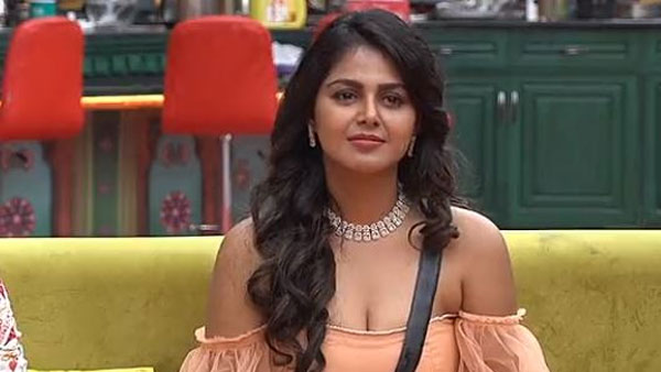 బిగ్ బాస్ షో కోసం మళ్లీ వచ్చింది