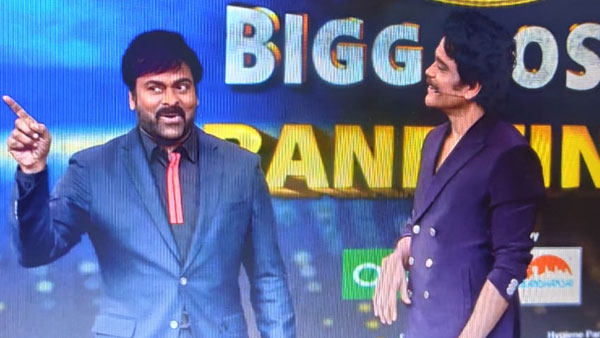 చిరంజీవికి ఘన స్వాగతం