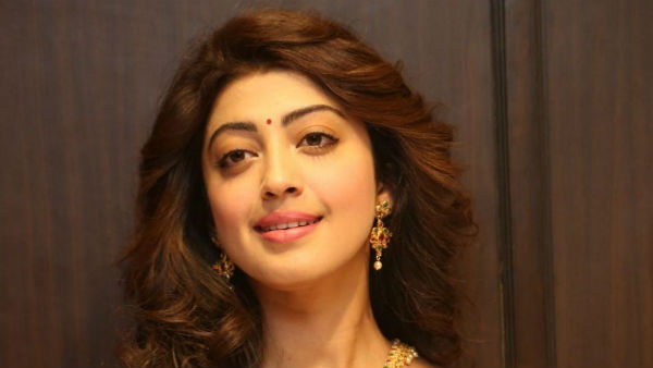 బిగ్ బాస్ షోతో మెస్మరైజ్..