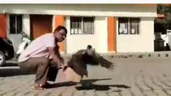 తాజాగా అలా..