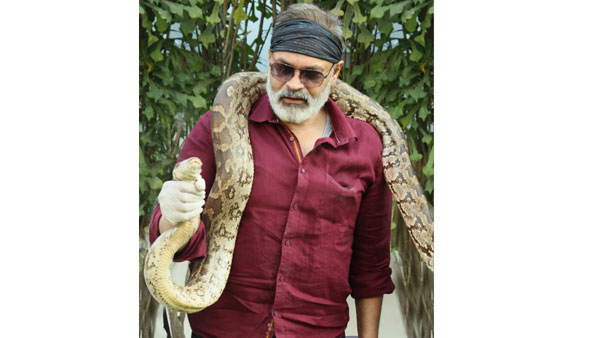 కొత్తగా వచ్చేవారికి..