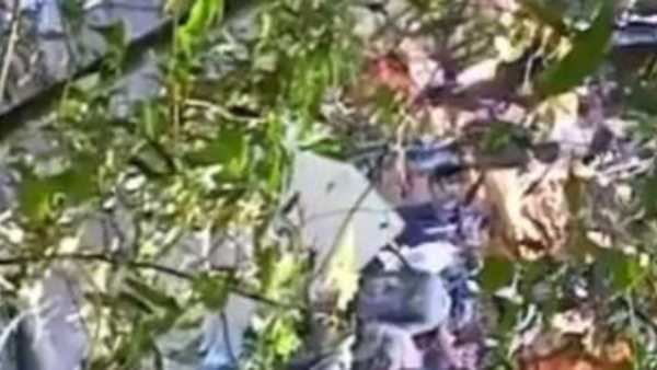 లీక్ అయితే అయింది గానీ..