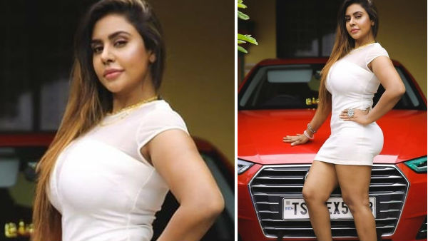  శ్రీరెడ్డి స్పెషల్ పాత్రలో..