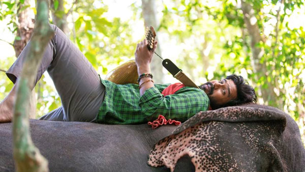 సపోర్టింగ్ క్యారెక్టర్స్ గురించి