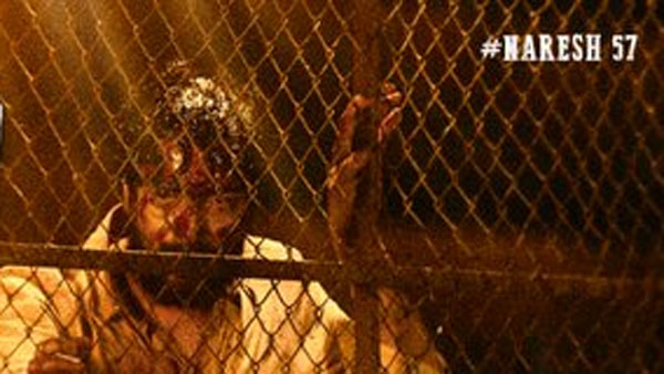 12 రోజులకు కలిపి మొత్తం ఎంత రాబట్టిందంటే?