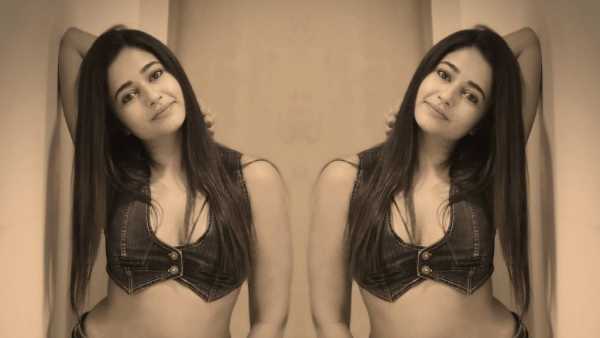 ఎన్టీఆర్ బయోపిక్ లో..