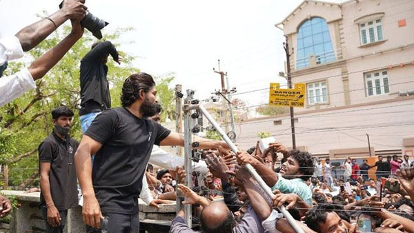 అభిమానుల మొక్కలతో నిండిపోయింది