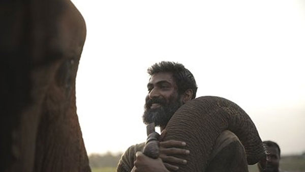 అరణ్యకు ఎంత నష్టం వచ్చిందంటే