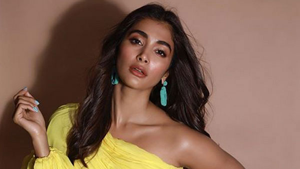 బడా ఆఫర్లు అందుకుని.. బాలీవుడ్‌లోనూ