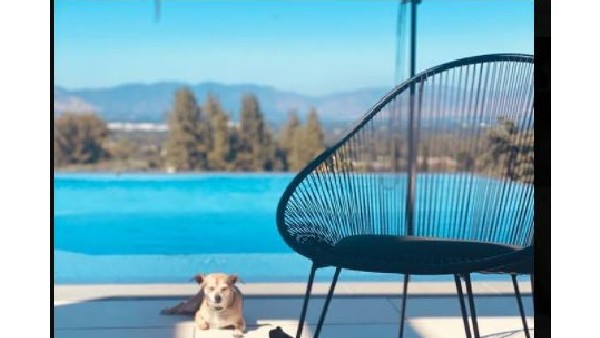 విలాసవంతమైన ఇంటిలో 