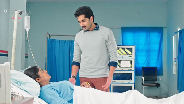 రెండు యాపిల్స్‌ పట్టుకొని