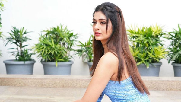 అక్కడా.. ఇక్కడా.. ఫుల్ బిజీగా పాయల్