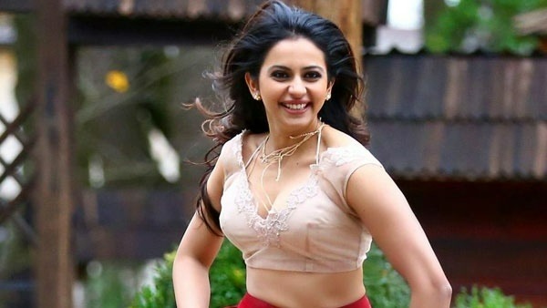 పాత్ర గురించి వినగానే రకుల్ ప్రీత్