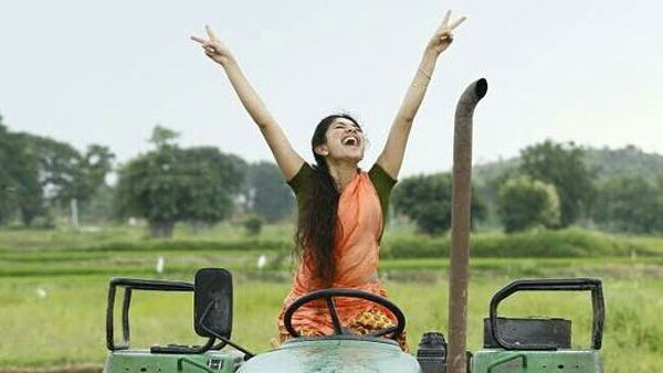 హైబ్రిడ్ పిల్ల