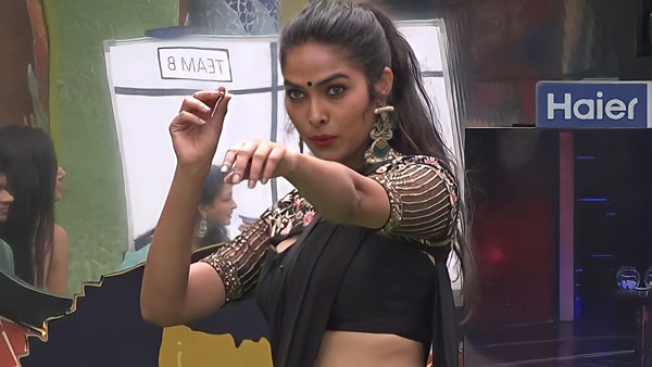 బిగ్‌బాస్‌ షోలో మరింత క్రేజ్‌గా