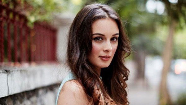 హాలీవుడ్ నుంచి బాలీవుడ్‌లోకి రాక