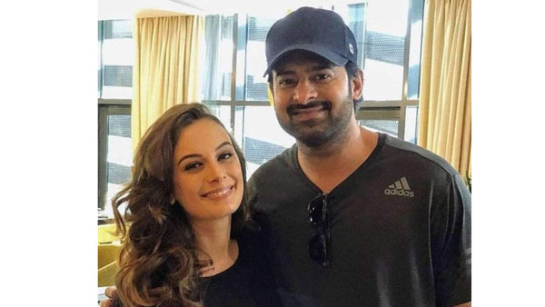 ‘సాహో'తో టాలీవుడ్‌లోకి పరిచయం