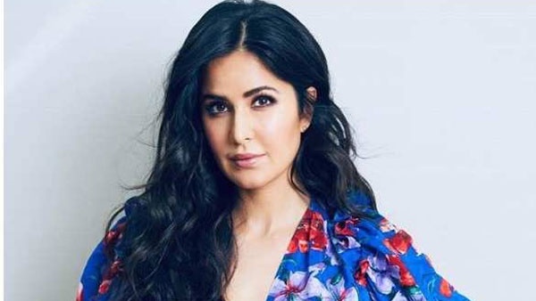 కత్రినా, వికీ, హర్ష్ వర్ధన్ కెరీర్స్