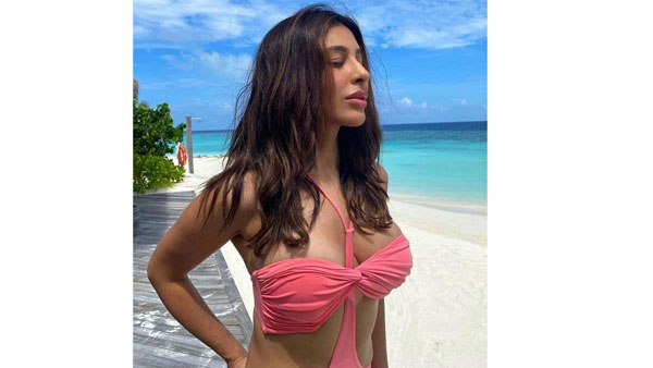 బికినీలో బేజారెత్తించిన లండన్ బాబు బ్యూటీ.. మహేష్ బాబు మూవీలో అలా హల్చల్!