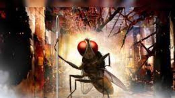 ఈగ ట్రైలర్ కు 4లక్షల వ్యూవ్స్